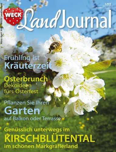 Vorschaubild 1